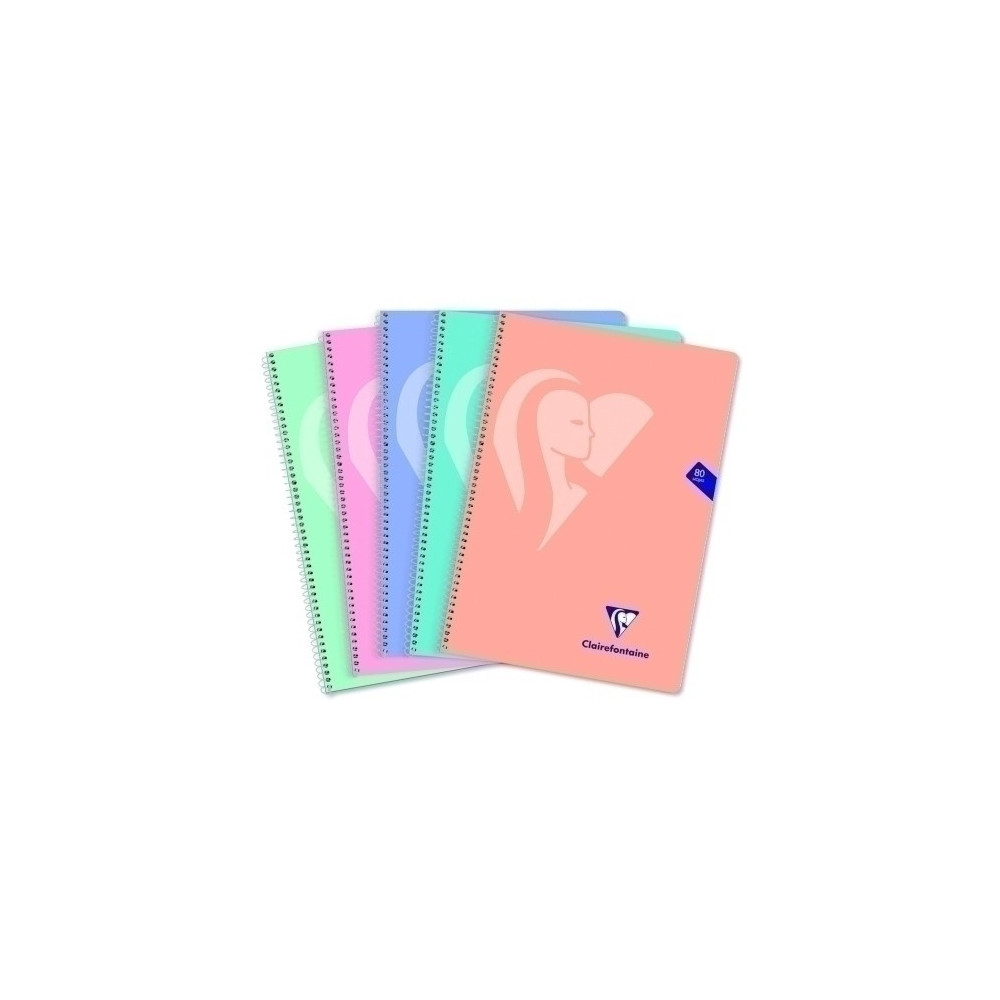 Block Clairefontaine Fº 80H 4X4 90G Past