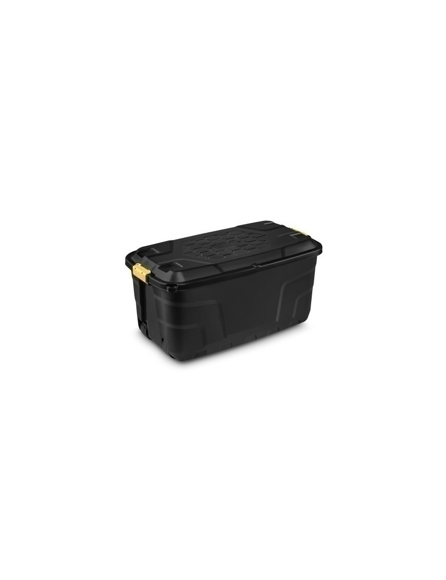 Caja Almacenamiento Cep 145 Litros