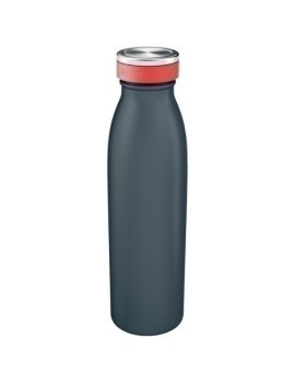 Botella Leitz Cosy 500Ml Gris