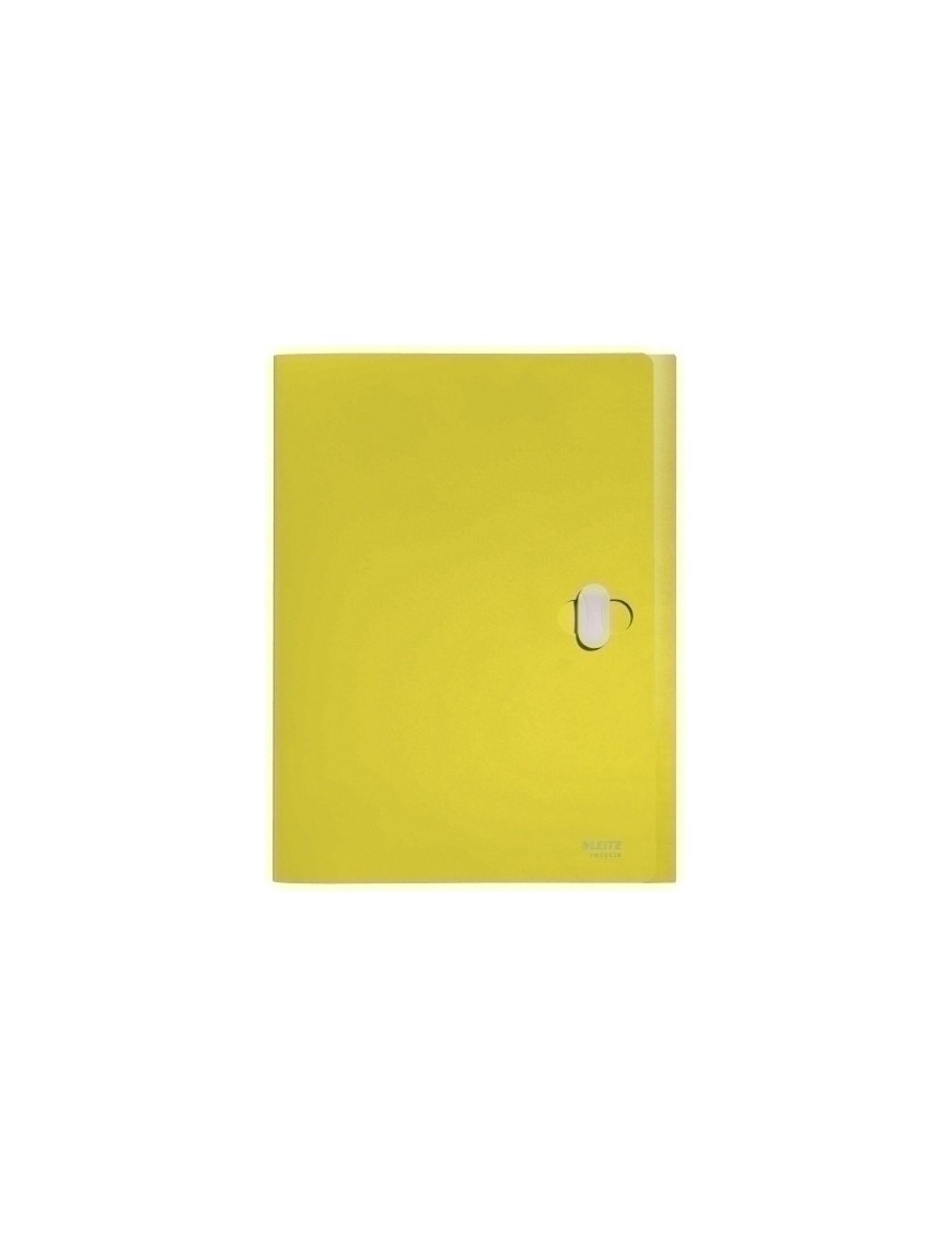 Carp.Proy.Leitz Recycle Pp A4 38Mm Amari