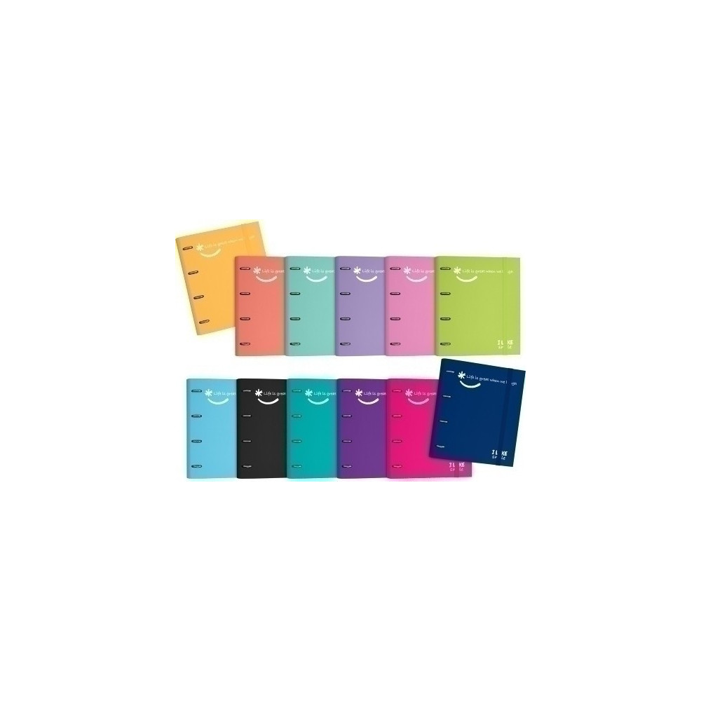 Carpebloc Graf.Like2 A4 4An.100H Mint