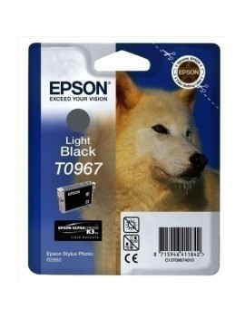 Cart.Ij.Epson T096740 Photo R2880 Gris