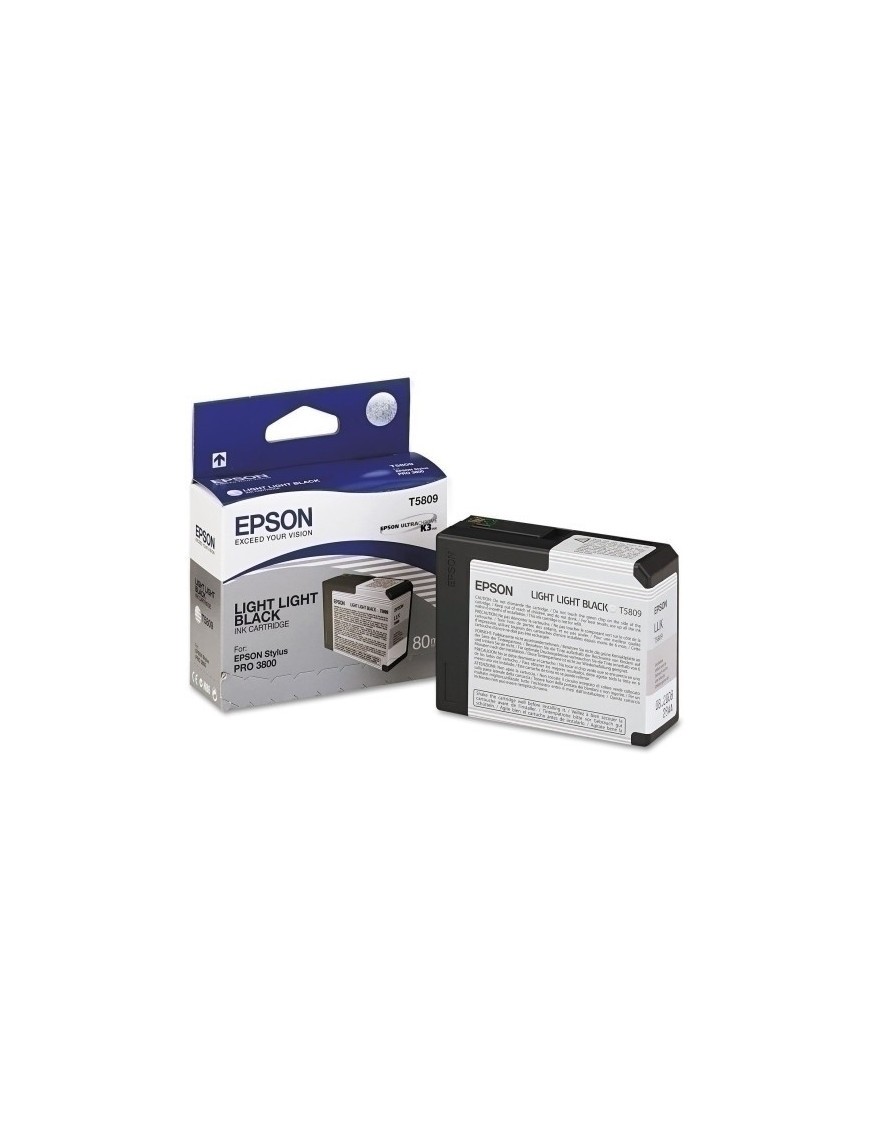 Cart.Ij.Epson T580900 Gris Claro