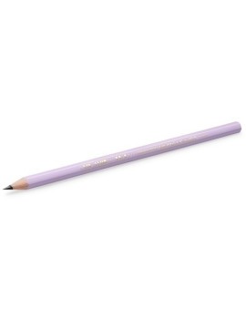 Lapiz Bic Evolution Pastel