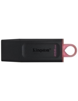 Memoria Usb 256Gb Kingston Dtx/256Gb