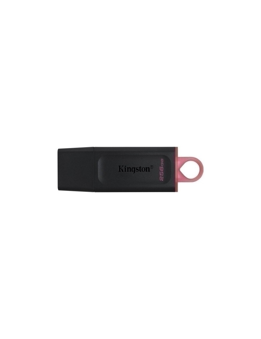 Memoria Usb 256Gb Kingston Dtx/256Gb