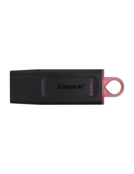 Memoria Usb 256Gb Kingston Dtx/256Gb