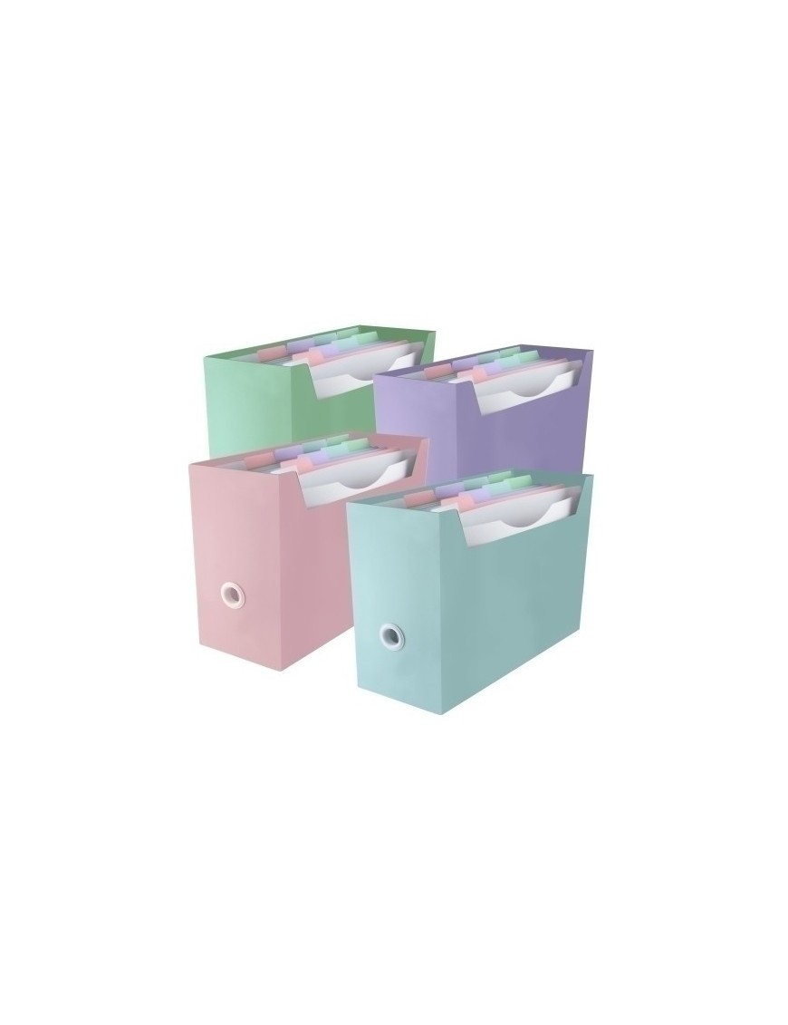 Organizador Carp. Blush Surt.4 Col