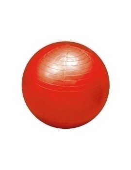 Pelota Gigante 100 Cm