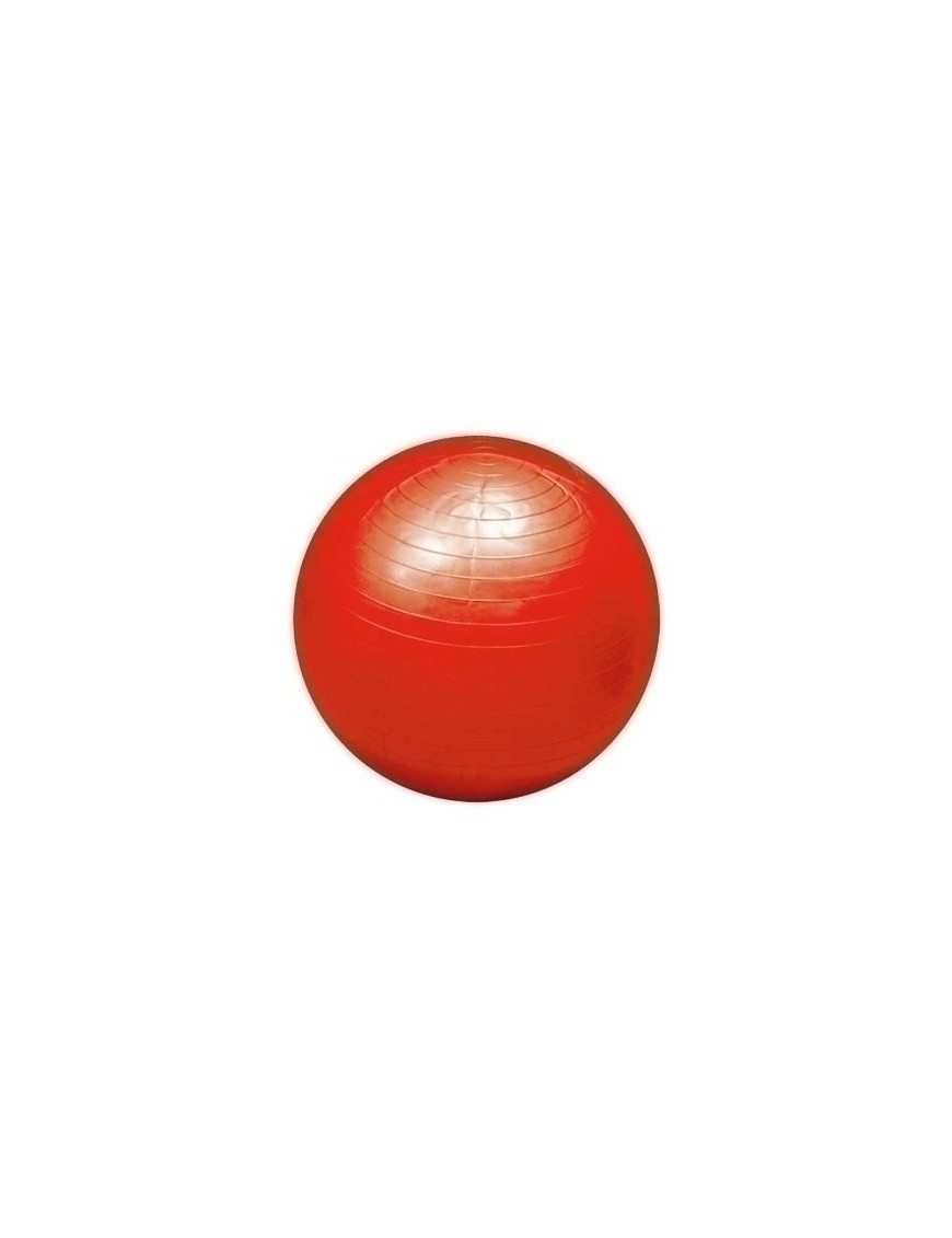 Pelota Gigante 100 Cm