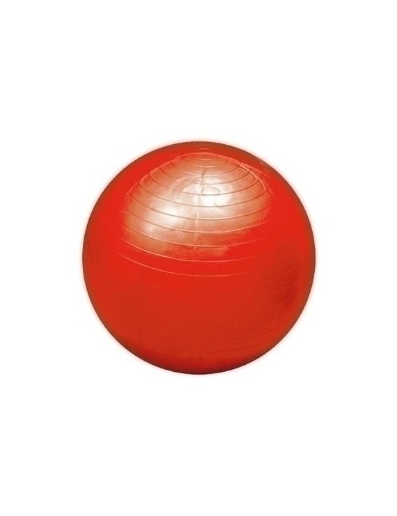 Pelota Gigante 100 Cm