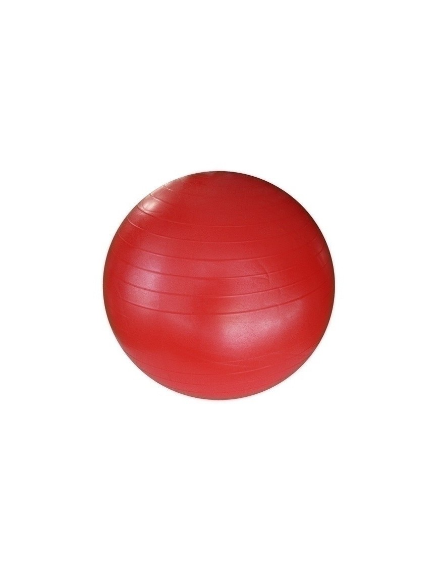 Pelota Gigante 55 Cm