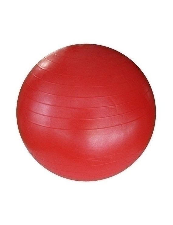 Pelota Gigante 55 Cm