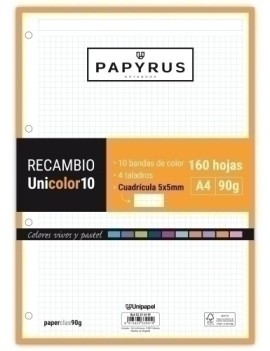 Recambio Papyrus A4 160H 4 Tal.Cd.5