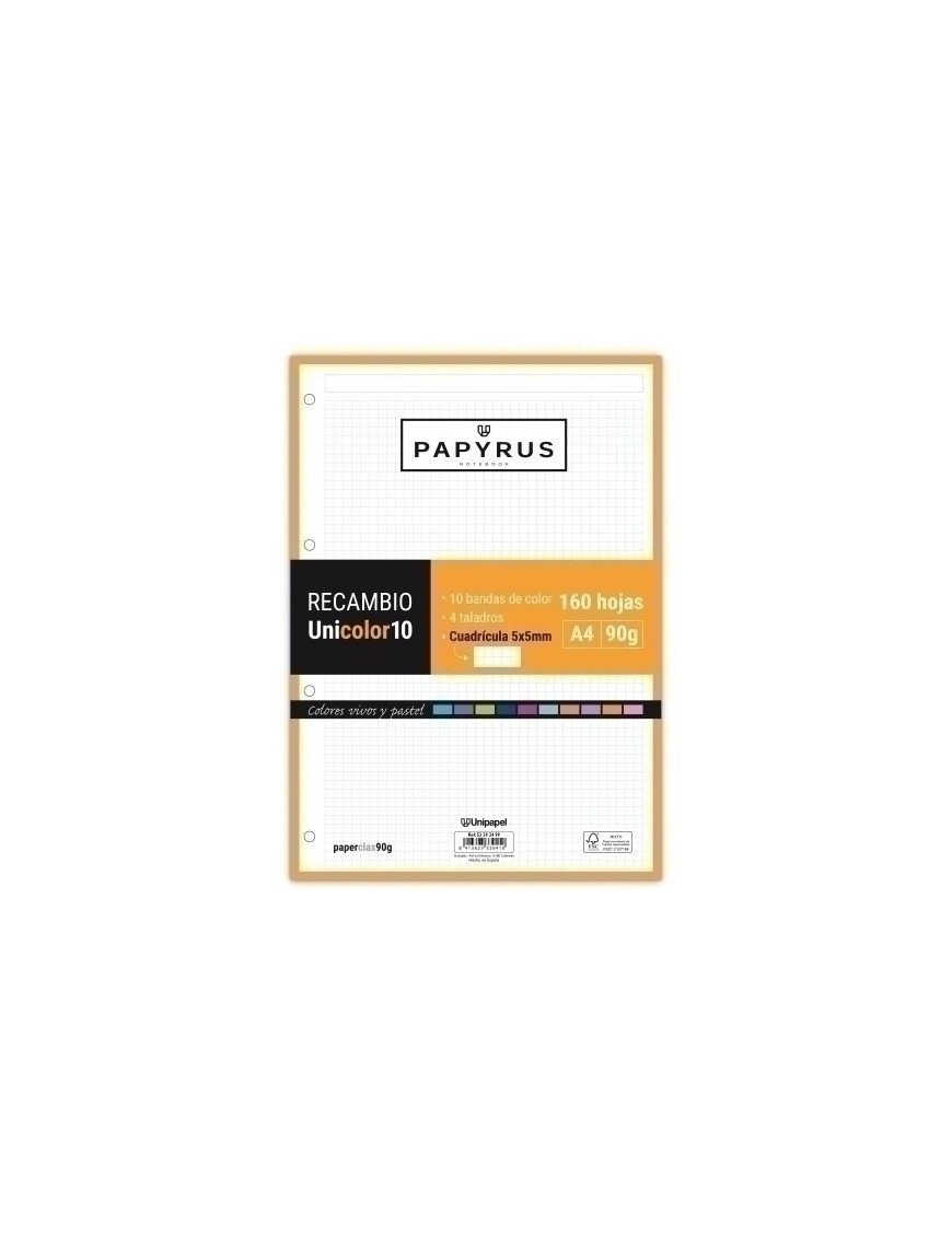 Recambio Papyrus A4 160H 4 Tal.Cd.5