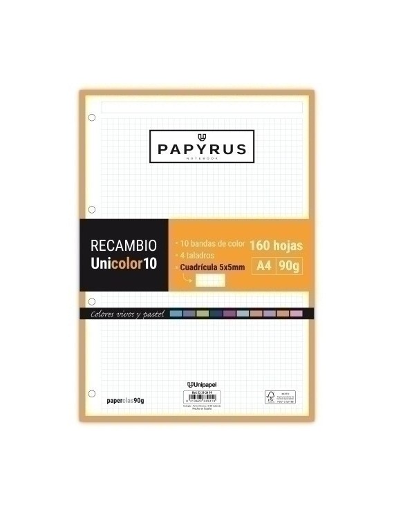 Recambio Papyrus A4 160H 4 Tal.Cd.5