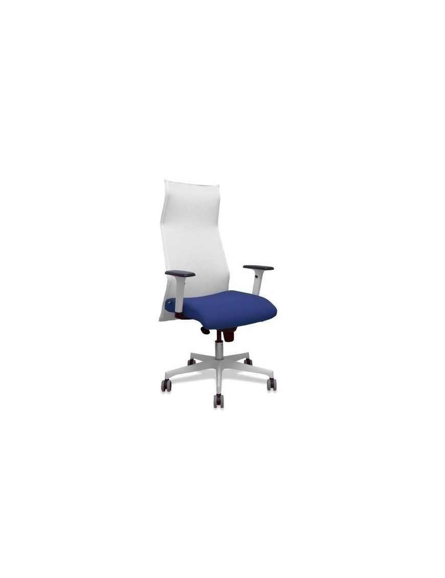 Sillon Piqueras Sahuco Direc. B.Azul Osc