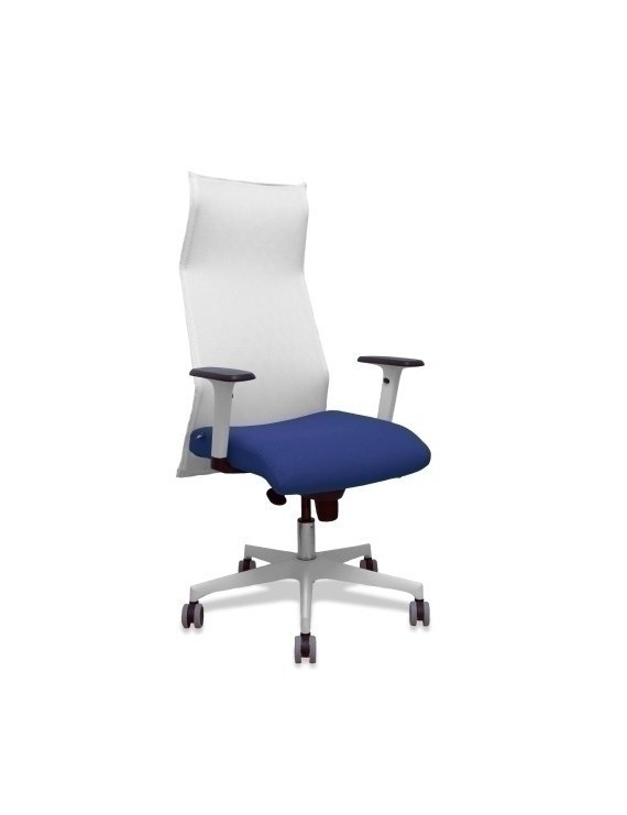 Sillon Piqueras Sahuco Direc. B.Azul Osc