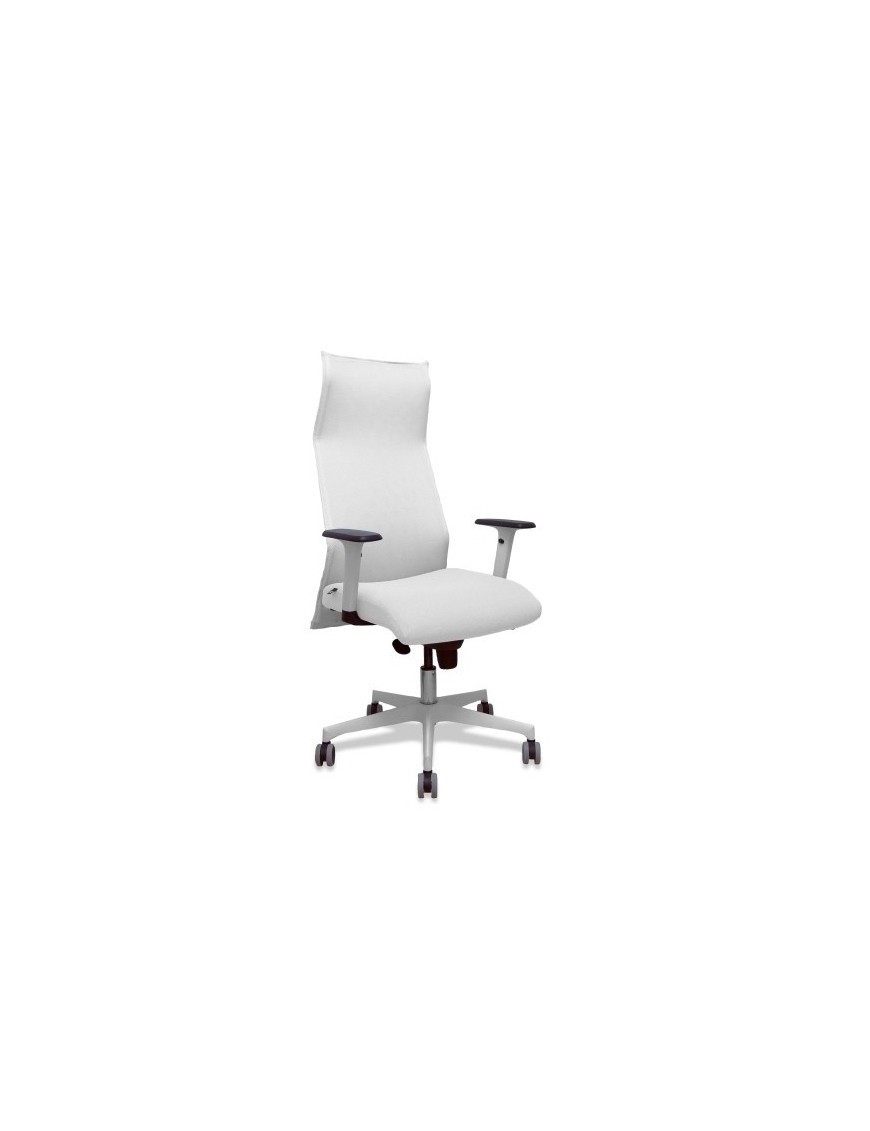 Sillon Piqueras Sahuco Direc. B.Blanco