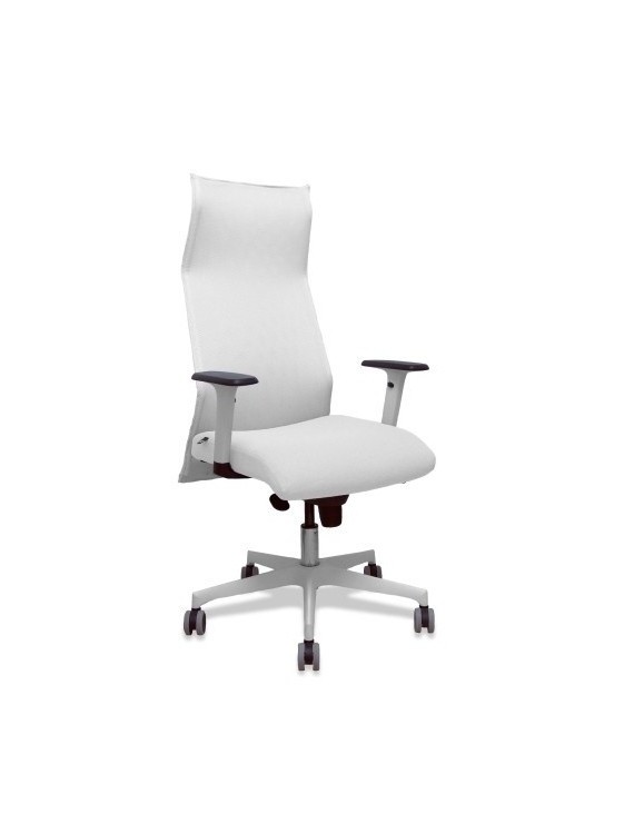 Sillon Piqueras Sahuco Direc. B.Blanco