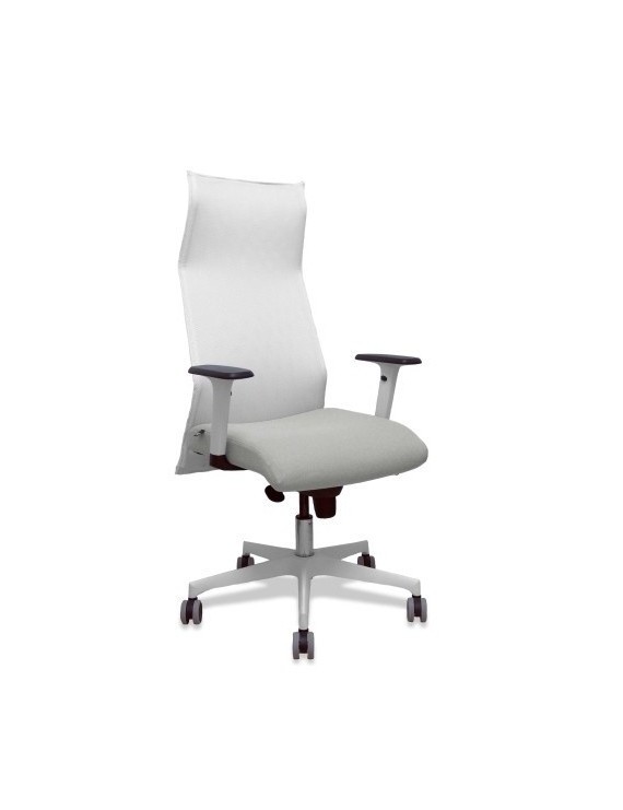 Sillon Piqueras Sahuco Direc. B.Gris Cla