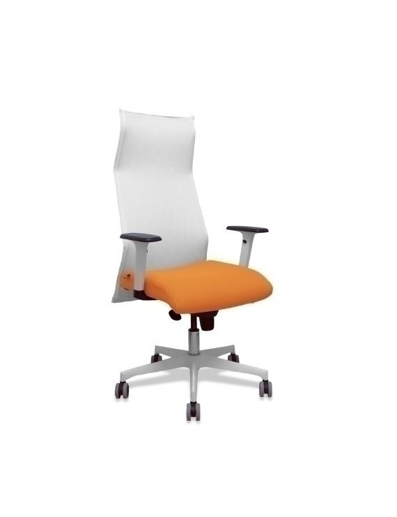 Sillon Piqueras Sahuco Direc. B.Naranja