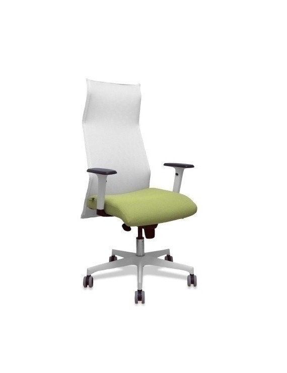 Sillon Piqueras Sahuco Direc. B.Verde Ol