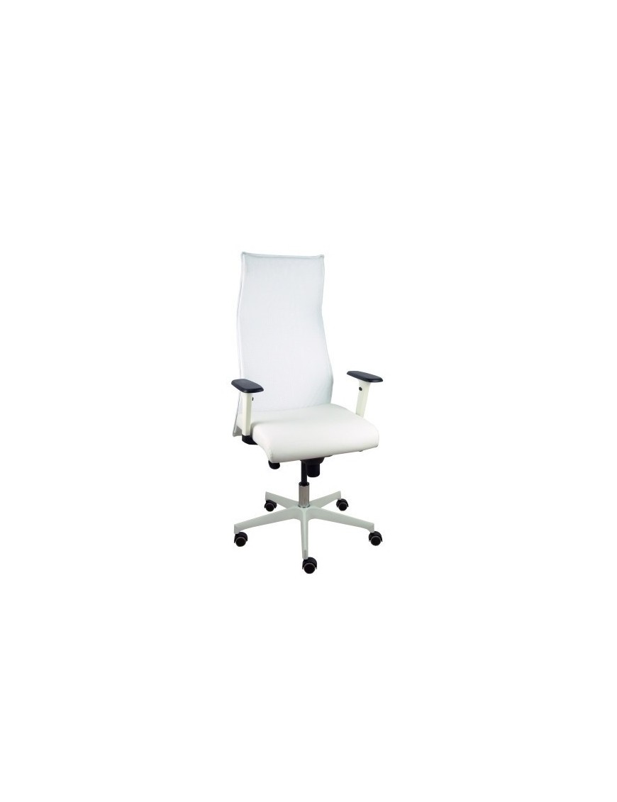 Sillon Piqueras Sahuco Direc. S.Blanco