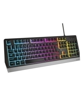 Teclado Gaming Genesis Rhod 300 Rgb