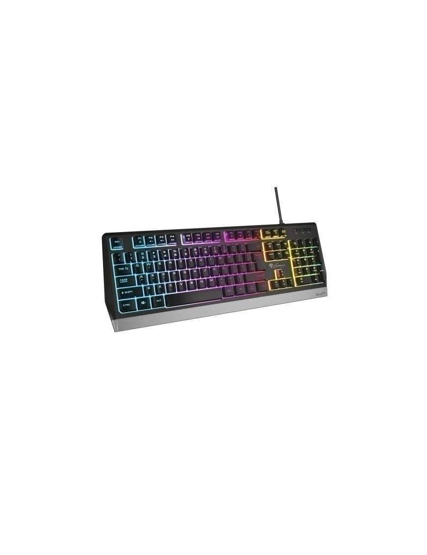 Teclado Gaming Genesis Rhod 300 Rgb