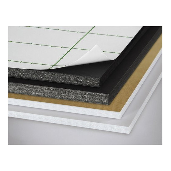 Carton Pluma