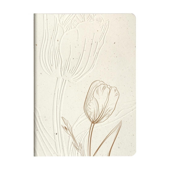 Cuaderno Cf.