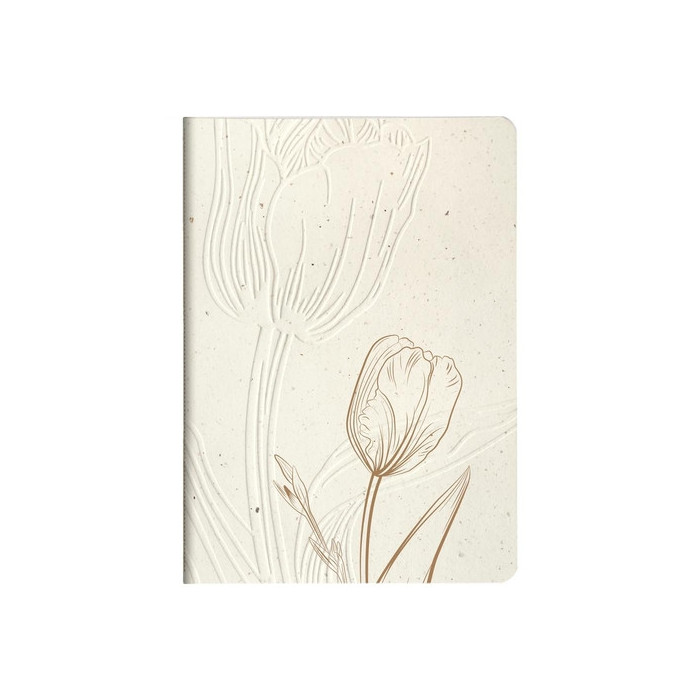 Cuaderno Cf.