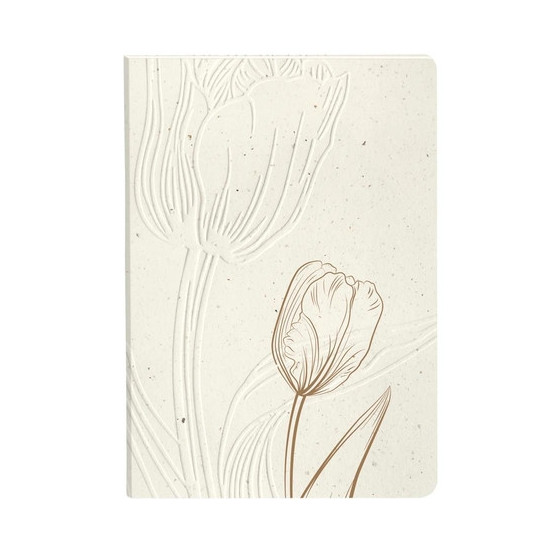 Cuaderno Cf.