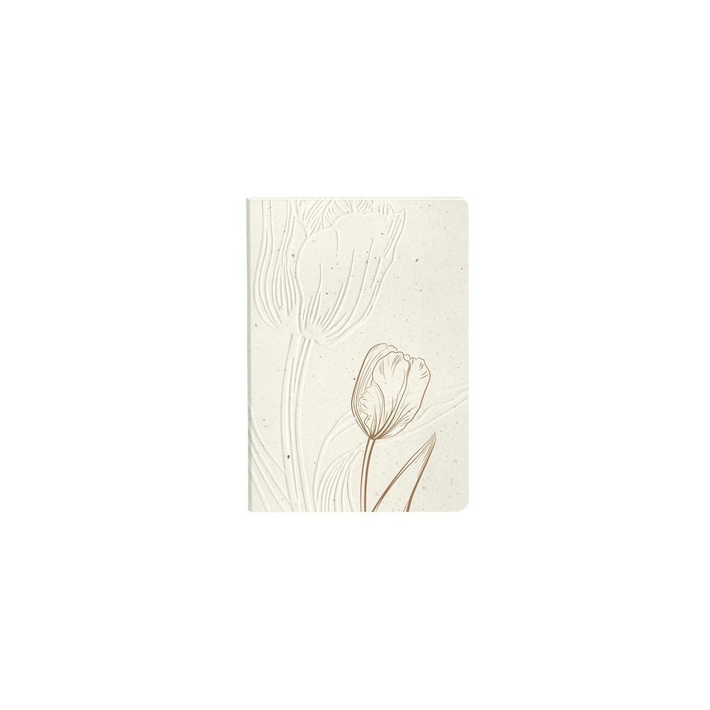 Cuaderno Cf.