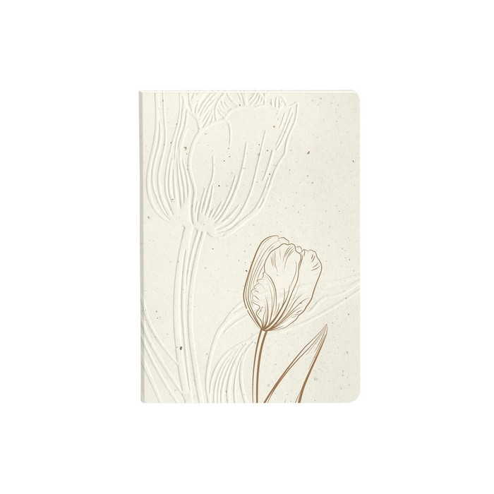Cuaderno Cf.