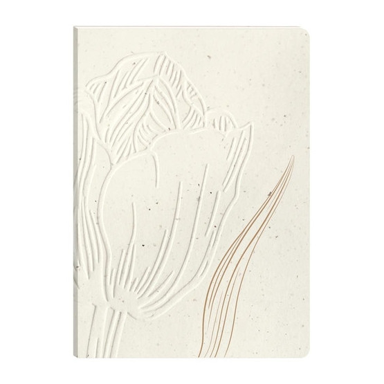 Cuaderno Cf.