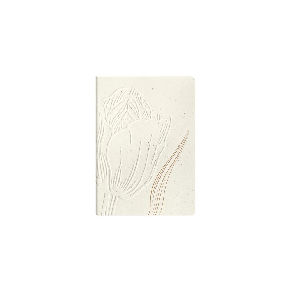 Cuaderno Cf.