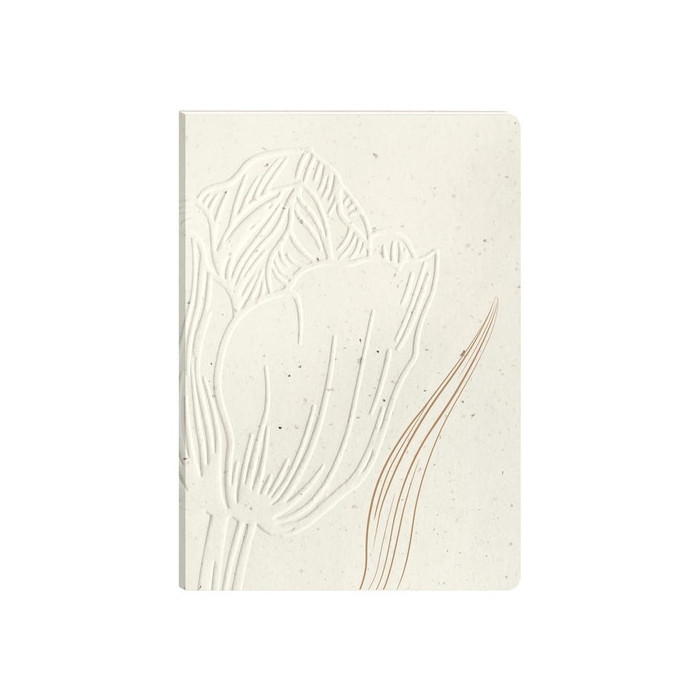 Cuaderno Cf.