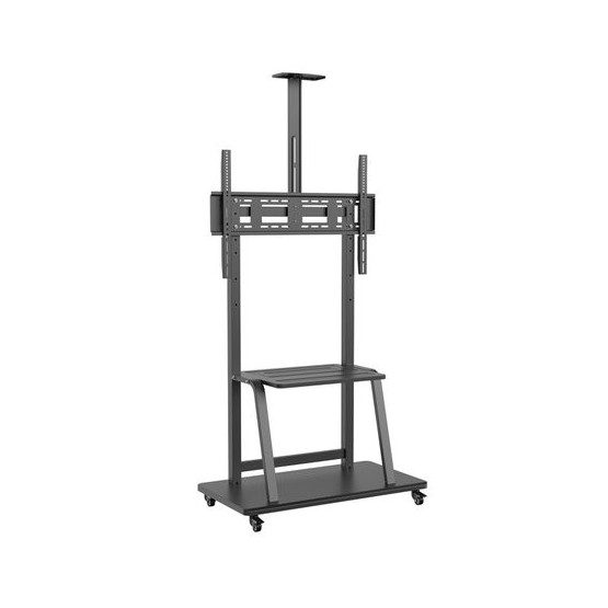 Soporte Suelo