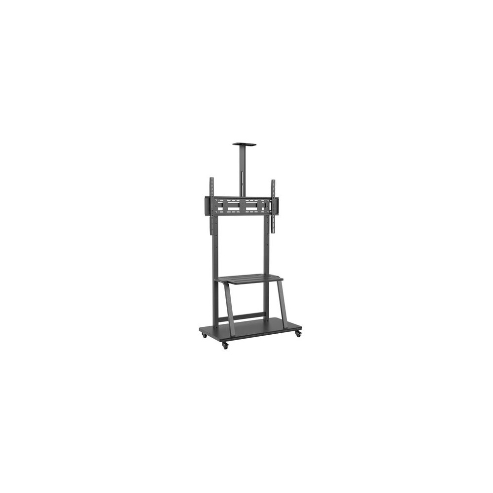 Soporte Suelo